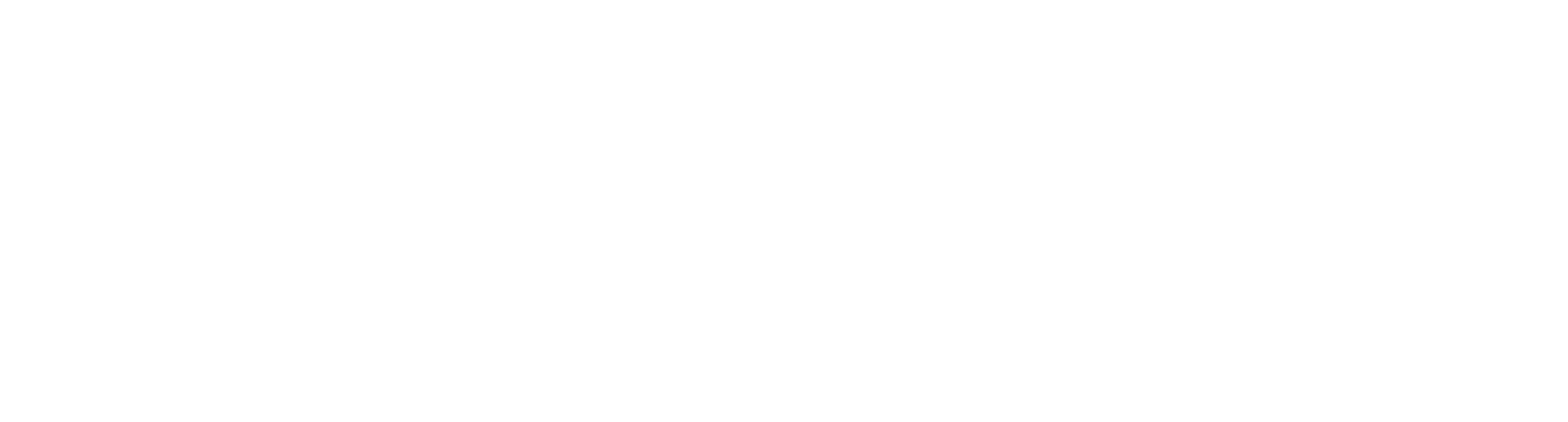 millenium_properties_logo_blanc